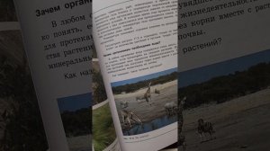 Биология 5класс параграф17 условие жизни организмов