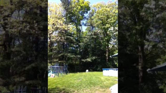 First Wiffle ball game смотреть онлайн