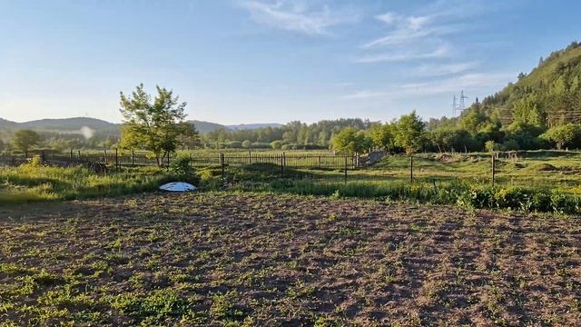 Выезд на фазенду 06.09.2022 смотреть онлайн