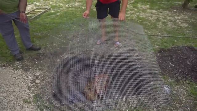 Гараж и Мастерская