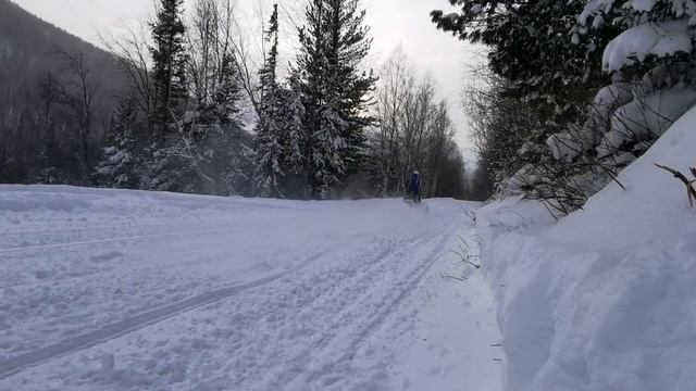 Polaris 800 rmk exhaust muffler смотреть онлайн