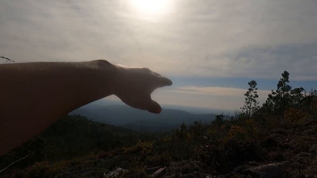 Hike somewhere near Caramulo ft. Mindfulness смотреть онлайн