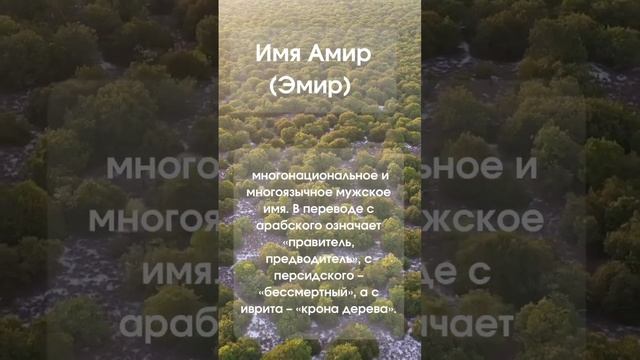 Значение имени Амир (Эмир) #значениеимени #мужскиеимена смотреть онлайн
