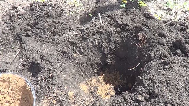 Е.В. о Рыбалке и Кулинарии