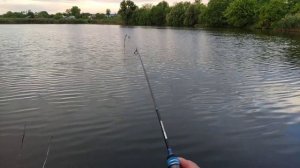 Карась на спиннинг.гаммарус 0.1-0.6.