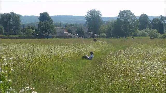 На гребне волны перезагрузка)))) смотреть онлайн