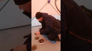Ладожское озеро. Зимняя рыбалка в коккорево. В палатке куб 3х слойная 4х местная