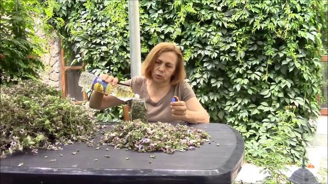 Масло шалфея мускатного, готовим сами смотреть онлайн