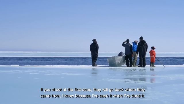 ᕿᓚᓗᒃᑭᐊᕐᓂᖅ ᐅᐱᕐᖔᒃᑯᑦ ᐊᐅᔭᒃᑯᓪᓗ Narwhal Hunting in the Spring and Summer смотреть онлайн