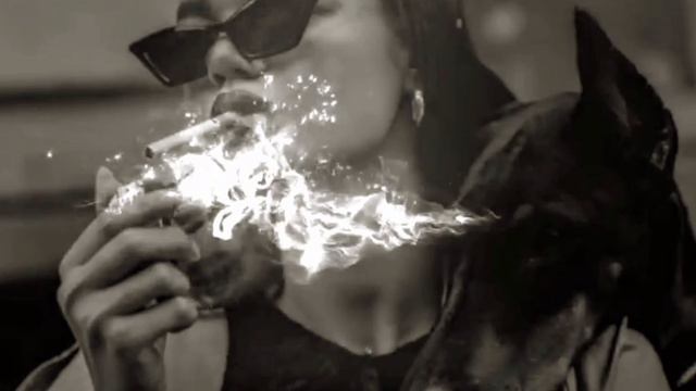 меломан Бодя песня топ @врек @топ