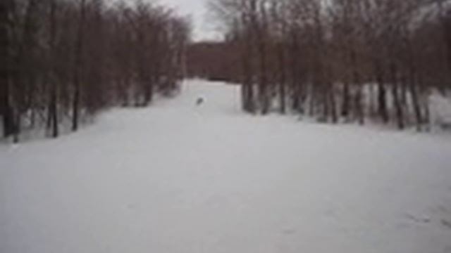 Skiing Bellayre With Bill Zeller смотреть онлайн