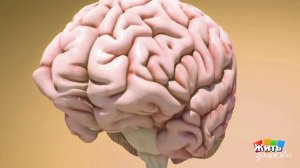 Позиционное головокружение. Жить здорово! Фрагмент выпуска от 06.12.2017