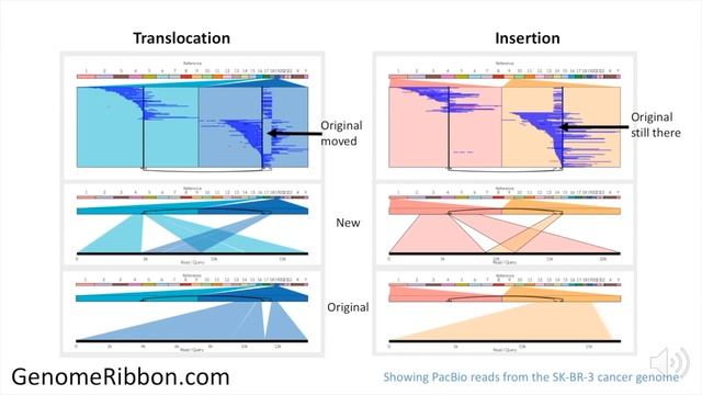 Maria Nattestad Genome Ribbon talk смотреть онлайн