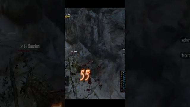 Что там по Dragon's Dogma Online смотреть онлайн