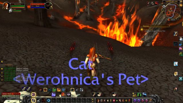 World Of Warcraft Quest Info: Hungry Pups смотреть онлайн