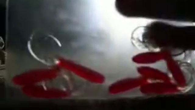 Селикон и вертушка смотреть онлайн