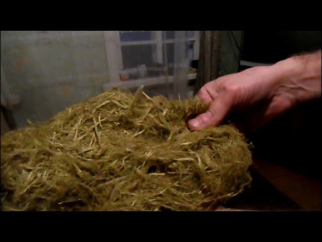 Сказка про радикулит и лесную шерсть. смотреть онлайн