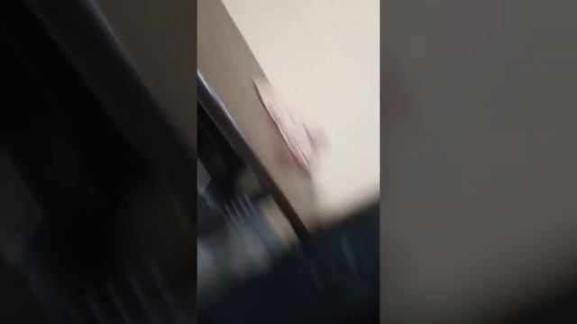 Philips spa 9080 sound test in indoor смотреть онлайн