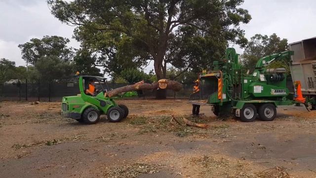 Avant 745 Optidrive  ArborPro Mini Loader For Arborists And Tree Care