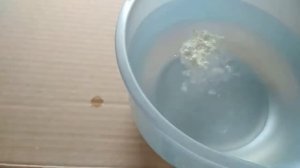 Тетрамизол. | Применение и дозировка для голубей