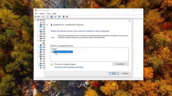 Ctrl+A CTRL+C and CTRL+V Do Not Work in MS Word FIX