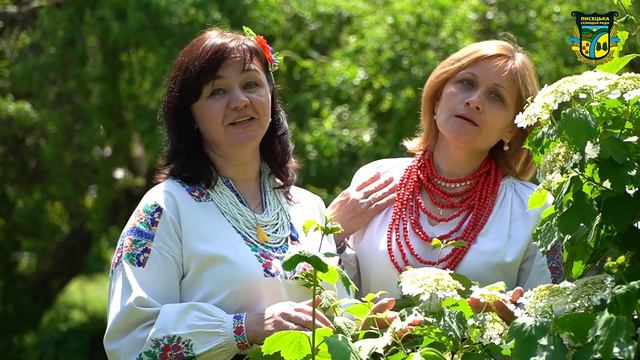 Зацвіла в долині червона калина - викладачі Лисецької дитячої музичної школи смотреть онлайн
