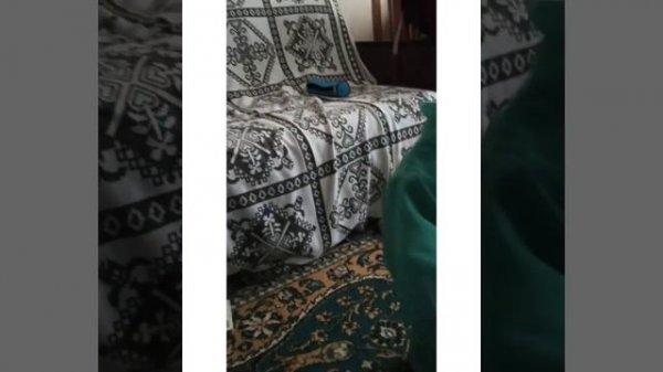 Nautilus Pompilius "Доктор твоего тела"