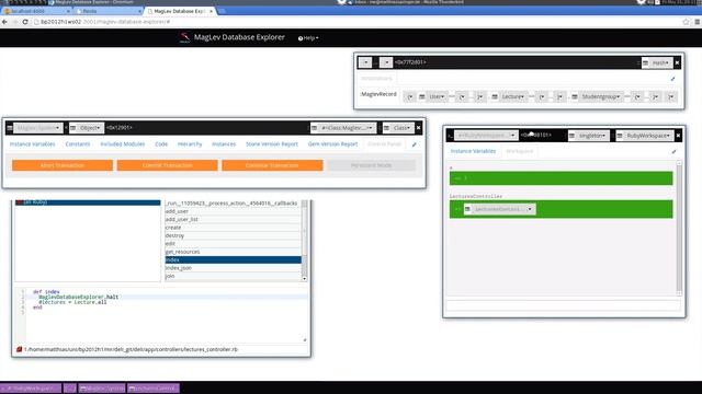 MagLev Database Explorer: Overview смотреть онлайн