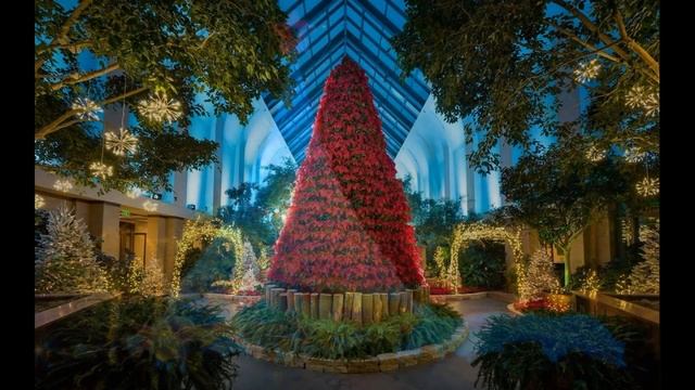ТОП 25: САМЫЕ НЕОБЫЧНЫЕ НОВОГОДНИЕ ЕЛКИ В МИРЕ / the most unusual Christmas trees смотреть онлайн