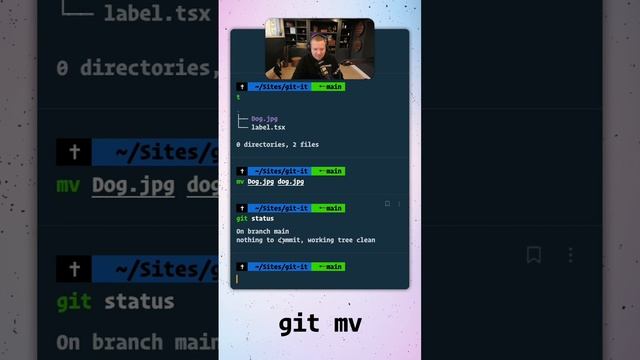 ? Use git mv to git yourself out of case-sensitive filename pickles. смотреть онлайн