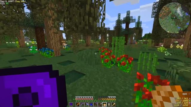 MINECRAFT R.A.D. - EP34 - Swamp Searching смотреть онлайн