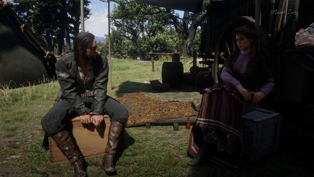 Kieran and Mary-Beth Romance / Hidden Dialogue | Red Dead Redemption 2 смотреть онлайн