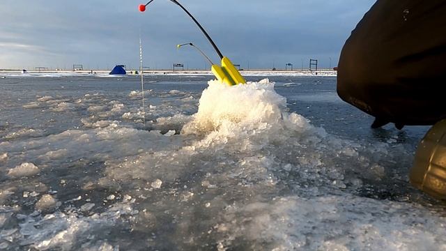 Корюшка Финский залив декабрь 2021 рыбалка на дамбе Финского залива СПб смотреть онлайн