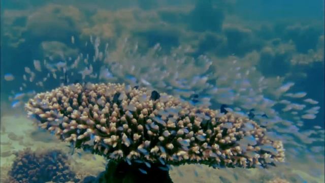 Johann Wolfgang Von Goethe- Der Fischer (Иоганн Вольфганг фон Гёте -Рыбак )