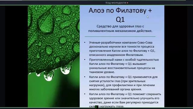 Презентация компании Сово-Сова от 05 05 2023 смотреть онлайн