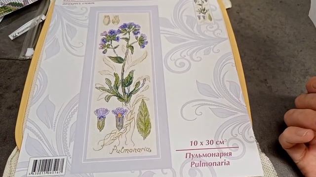 2 вышила 1начала // Жар-птица// Lizzie Kate // Риолис смотреть онлайн