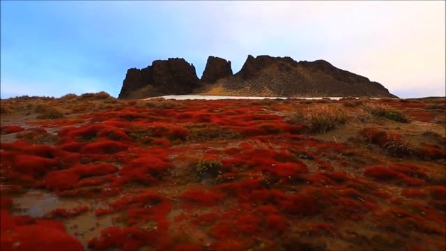 Какие территории отдала Россия? смотреть онлайн