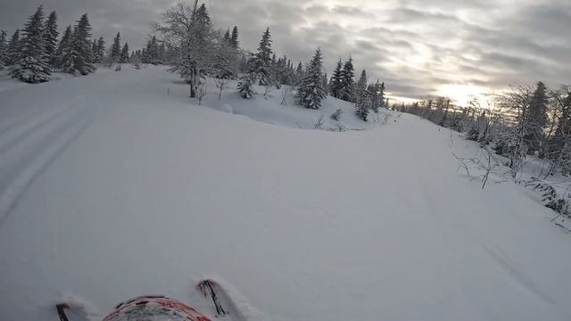 Lynx Shredder RE 146 Turbo tree riding смотреть онлайн