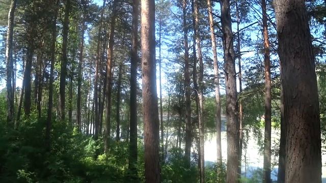 Турбаза «Катунь-Парк» - базы горного Алтая. Обзор. смотреть онлайн