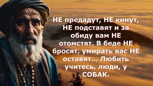Мудрые слова про предательство. Если бы Знал Раньше. Не было бы ошибок смотреть онлайн