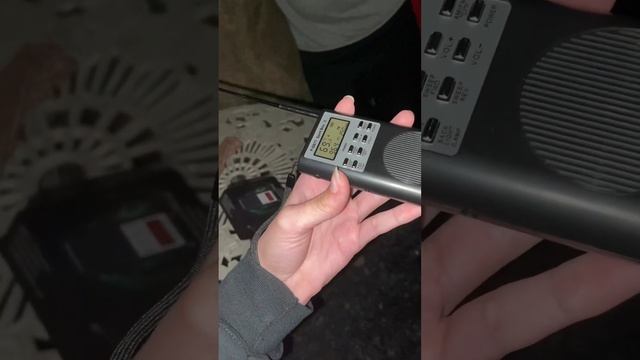 Spirit box session in the woods смотреть онлайн