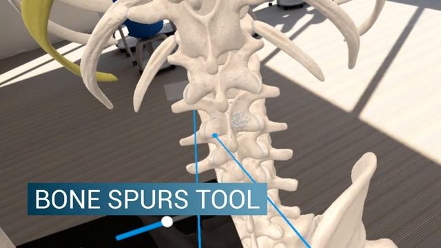 3D Organon 2021 Edition available for desktop, mobile and VR devices. смотреть онлайн