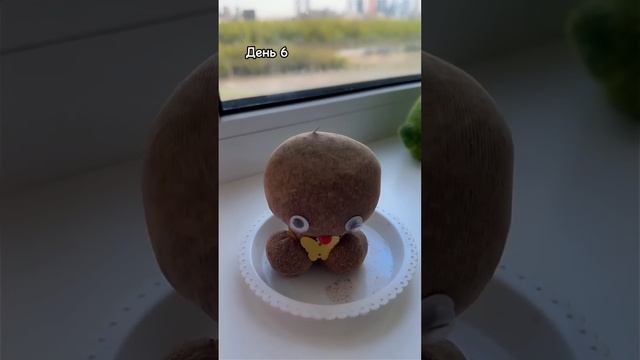 КАК Я ТРАВЯНЧИК ВЫРАЩИВАЛА ? смотреть онлайн