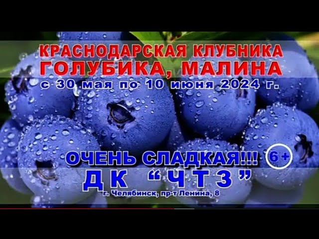 Рекламный блок РОССИЯ 1 ЮЖНЫЙ УРАЛ 30.05.2024 смотреть онлайн
