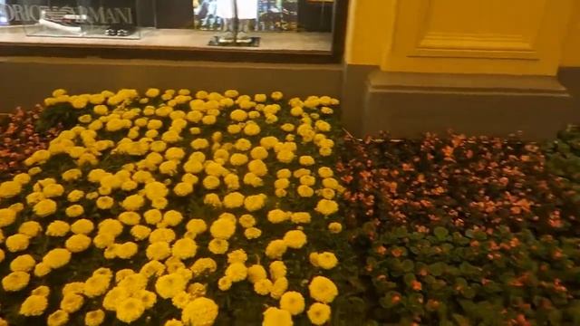 БАРАХОЛКА НА ВДНХ!!! ФЕСТИВАЛЬ ЦВЕТОВ В ГУМЕ!!! 24.06.17 смотреть онлайн