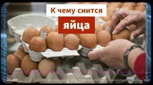 К чему снятся яйца - яйца во сне -