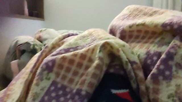 это Василиса с планшета снела пишет Василиса смотреть онлайн