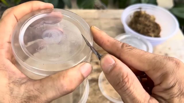 Đổ chỉ 1 lần! Hoa lan thối lập tức hồi sinh theo cách dễ này смотреть онлайн