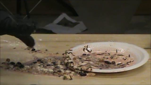 Vomit for sets.wmv смотреть онлайн