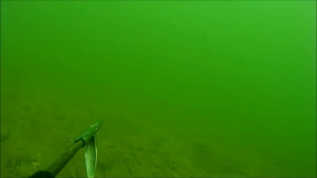 Зимняя Охота на Белого Амура смотреть онлайн